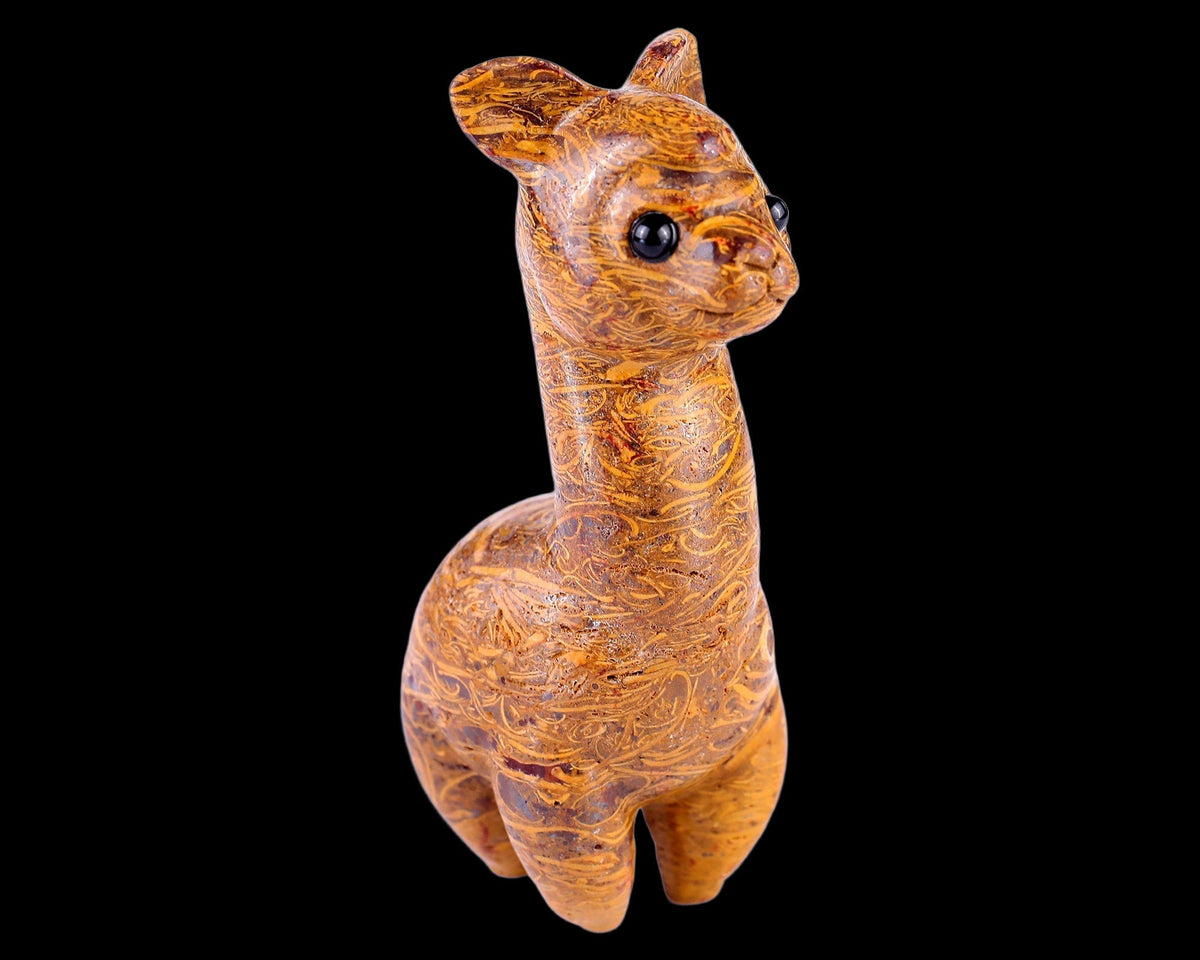 Alpaca