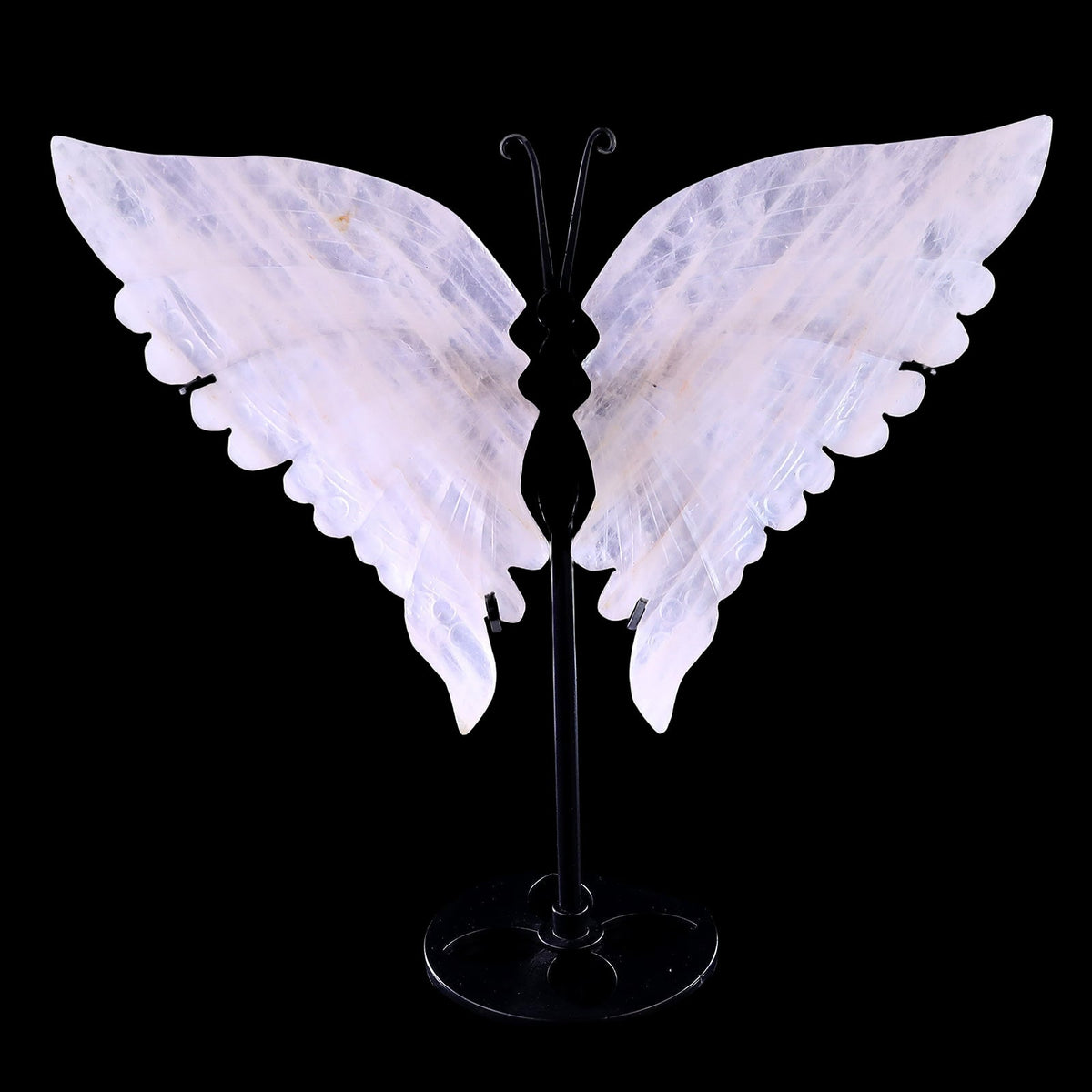 Butterfly Wings
