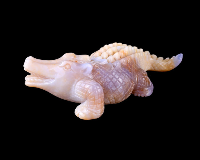 Crocodile