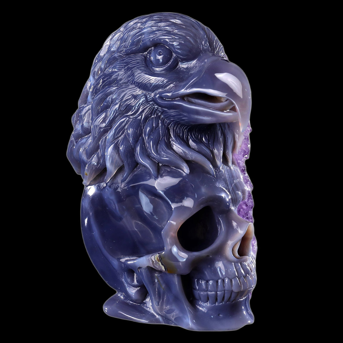 Eagle & Skull