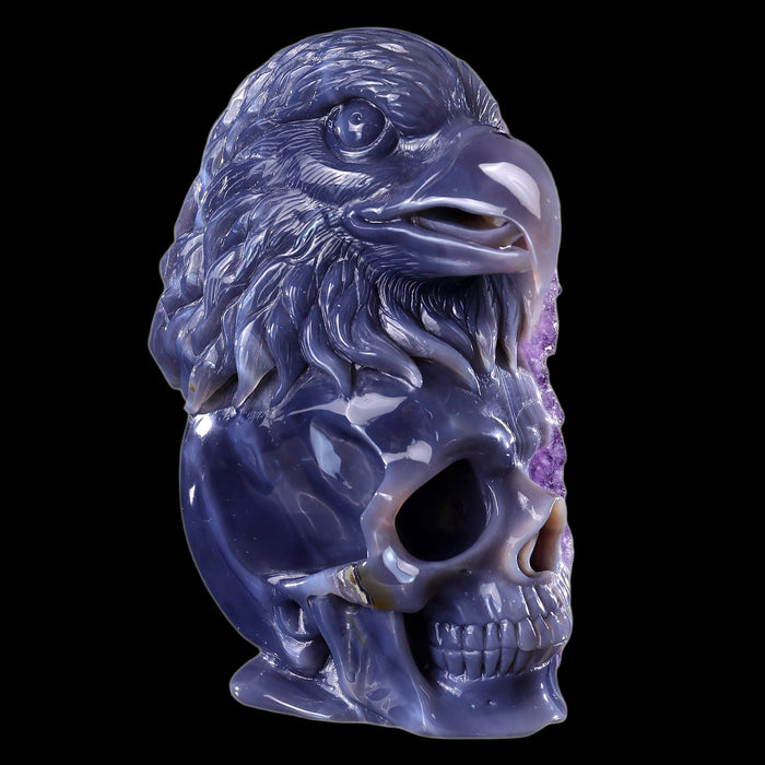 Eagle & Skull