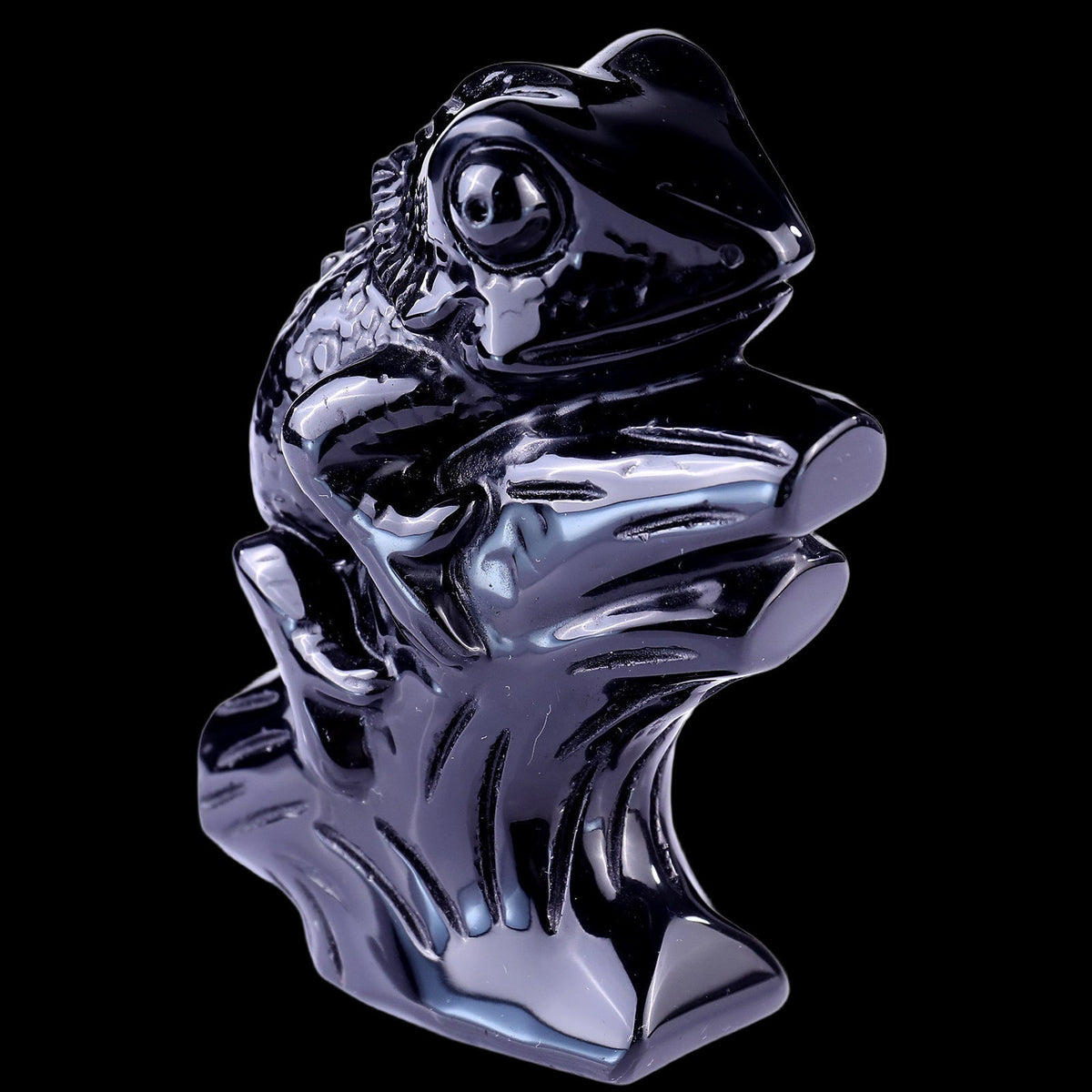 Lizard