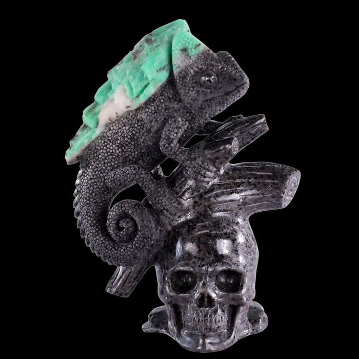 Lizard & Skull
