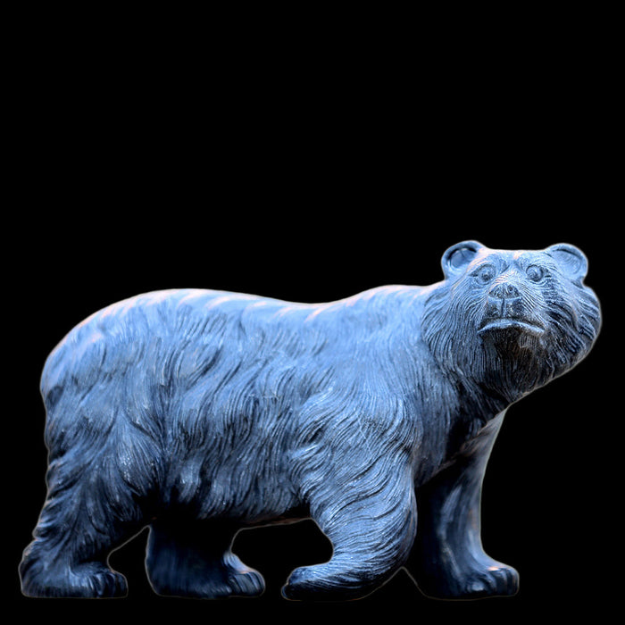Polar Bear