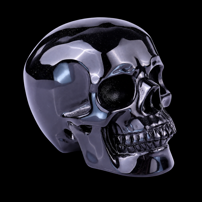 Realistic Human Skull