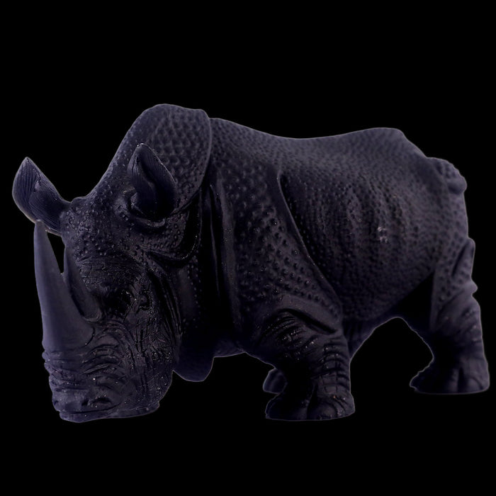 Rhinoceros