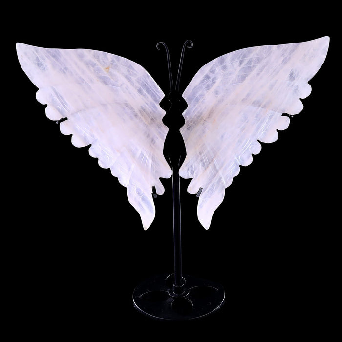 Butterfly Wings