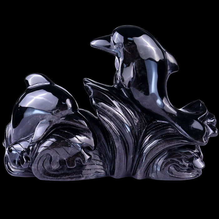Dolphin
