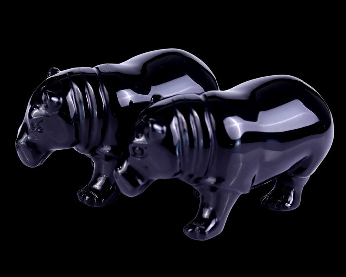 Hippopotamus