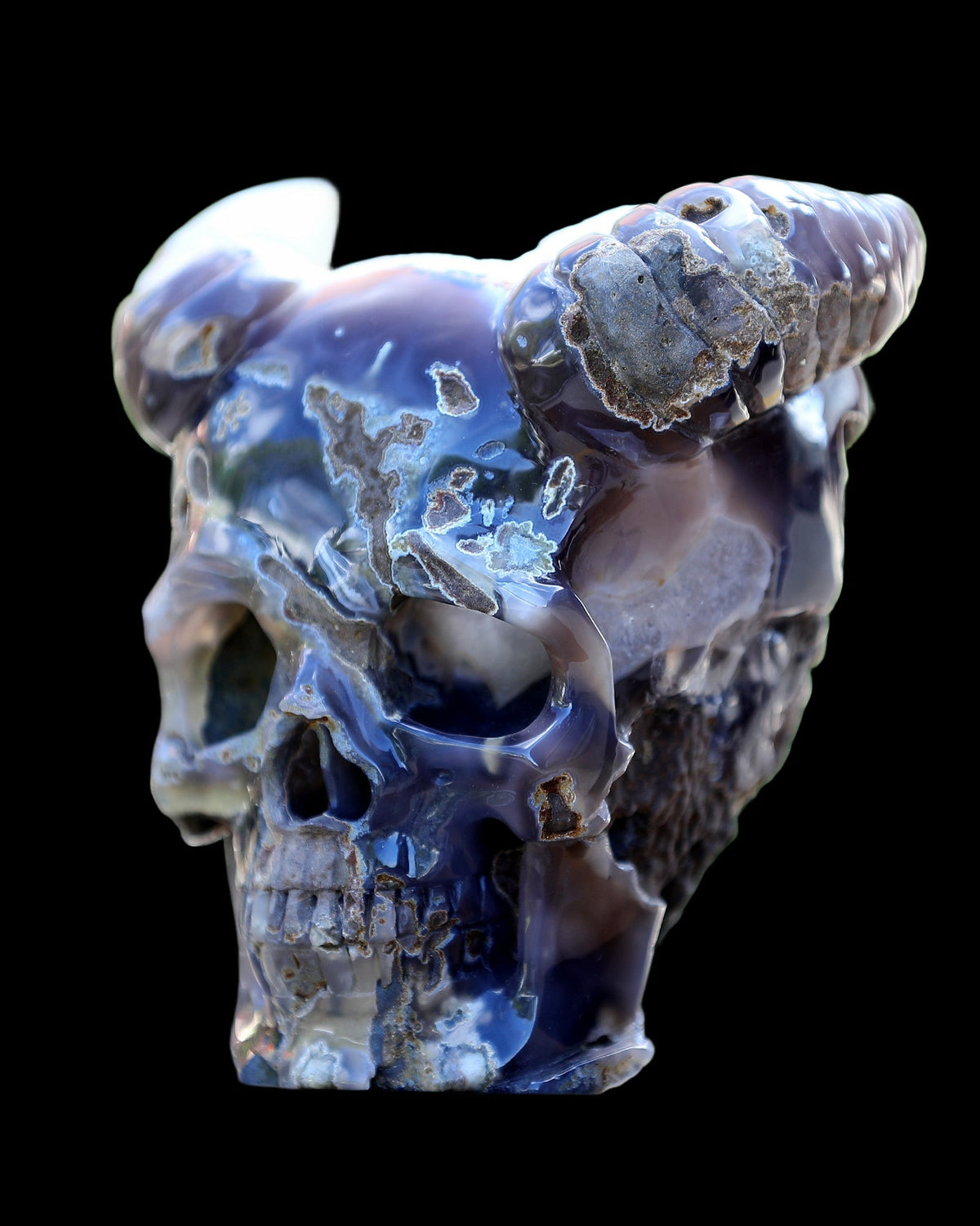 Horned Geode Skull