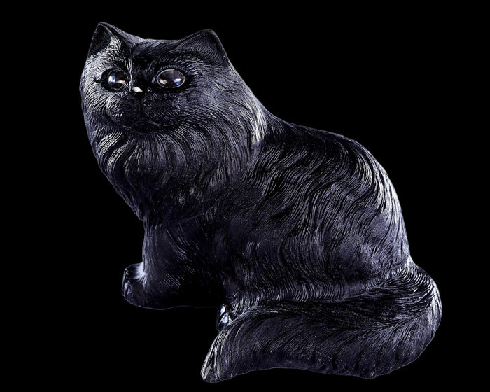 Persian Cat