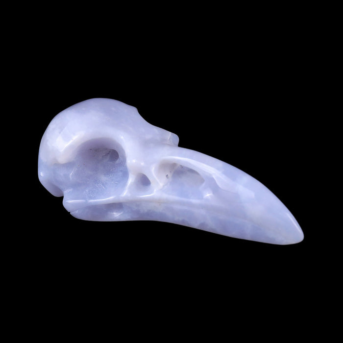 Raven Skull