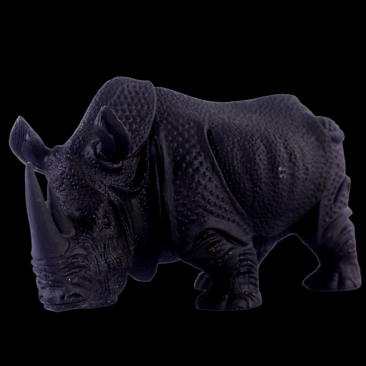 Rhinoceros