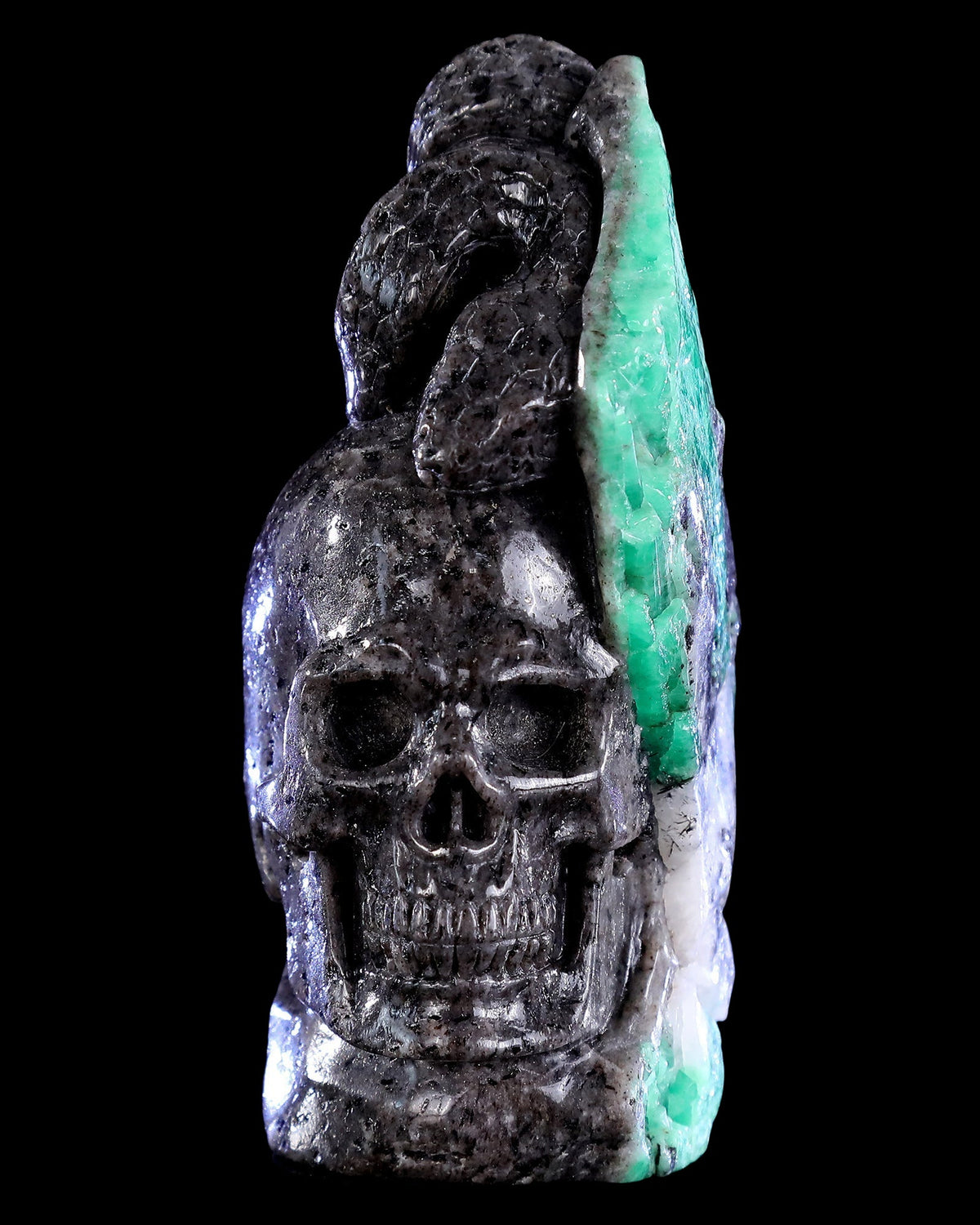 Snake & Skull