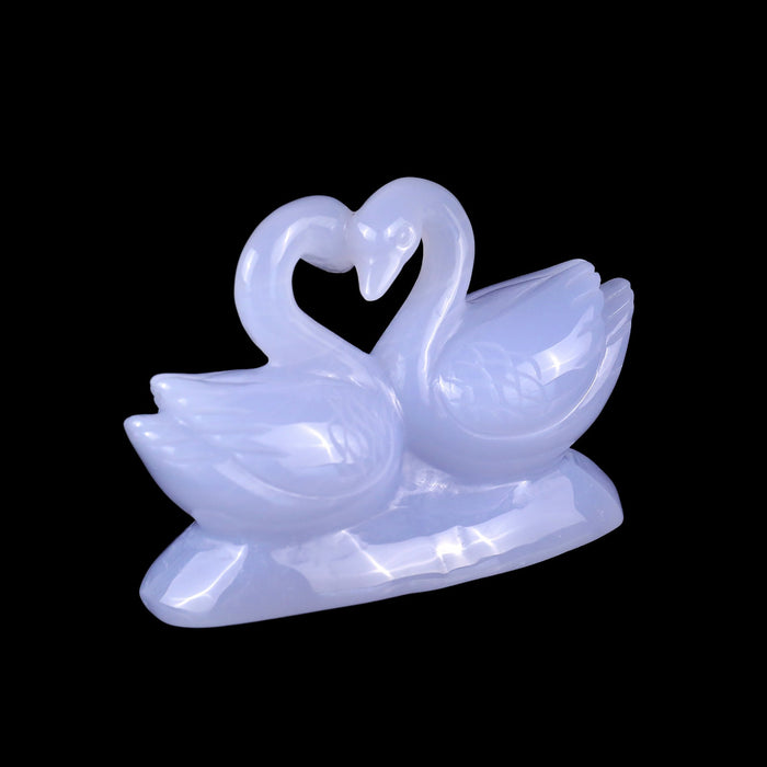 Swan