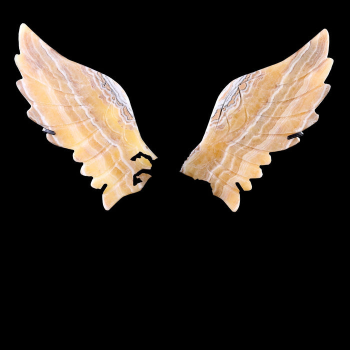 Unicorn Wings